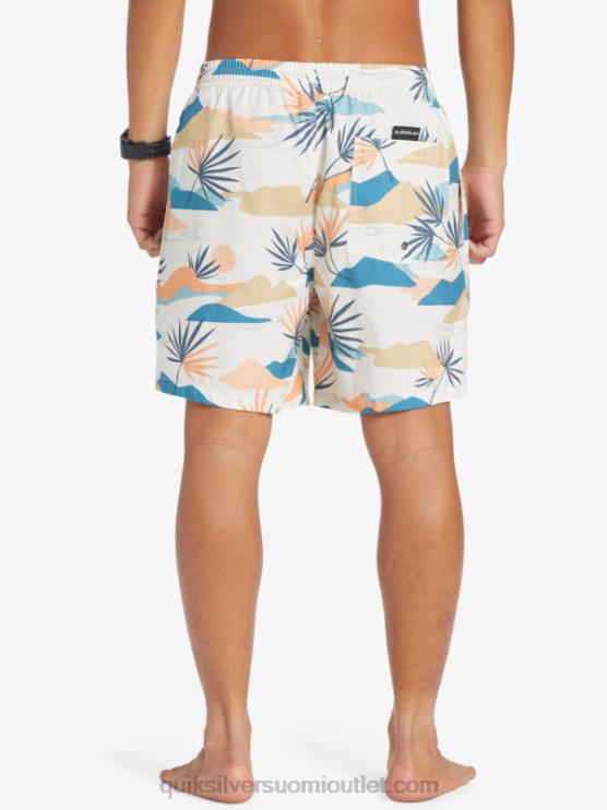 Quiksilver D6JJ678 miehet koivu päivittäinen sekoitus 17 lentopalloa
