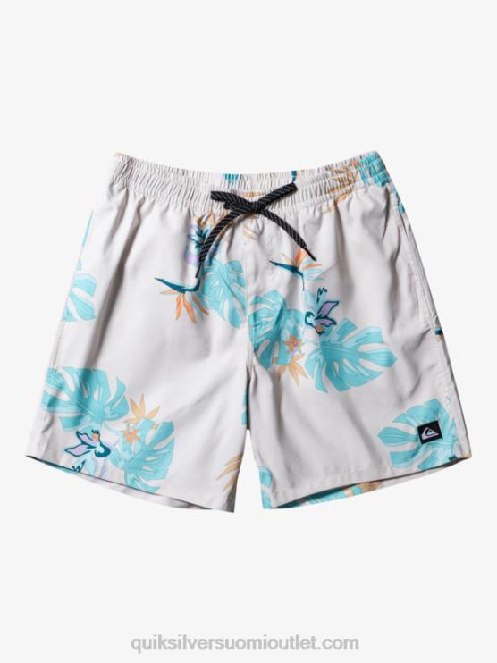Quiksilver D6JJ679 miehet valkoinen päivittäinen sekoitus 17 lentopalloa