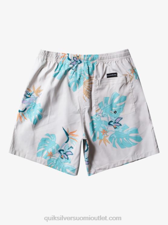 Quiksilver D6JJ679 miehet valkoinen päivittäinen sekoitus 17 lentopalloa