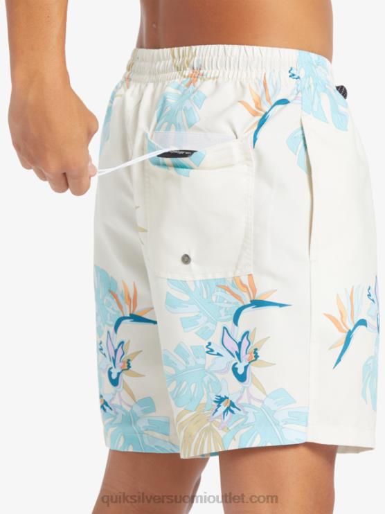 Quiksilver D6JJ679 miehet valkoinen päivittäinen sekoitus 17 lentopalloa