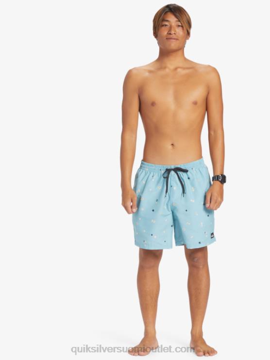 Quiksilver D6JJ680 miehet taivaallisen sininen päivittäinen sekoitus 17 lentopalloa
