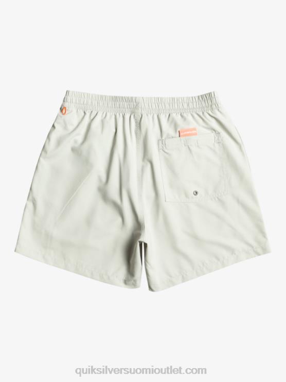 Quiksilver D6JJ700 miehet harmaa violetti päivittäinen vert 16 volleys