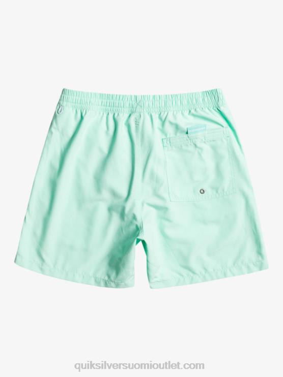 Quiksilver D6JJ702 miehet rantalasi päivittäinen vert 16 volleys