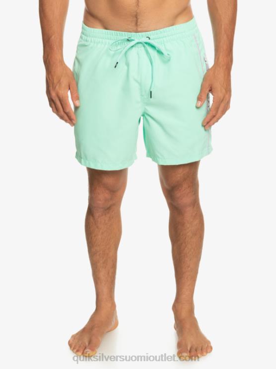 Quiksilver D6JJ702 miehet rantalasi päivittäinen vert 16 volleys