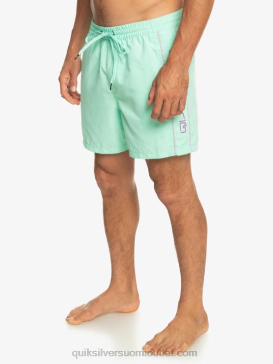 Quiksilver D6JJ702 miehet rantalasi päivittäinen vert 16 volleys