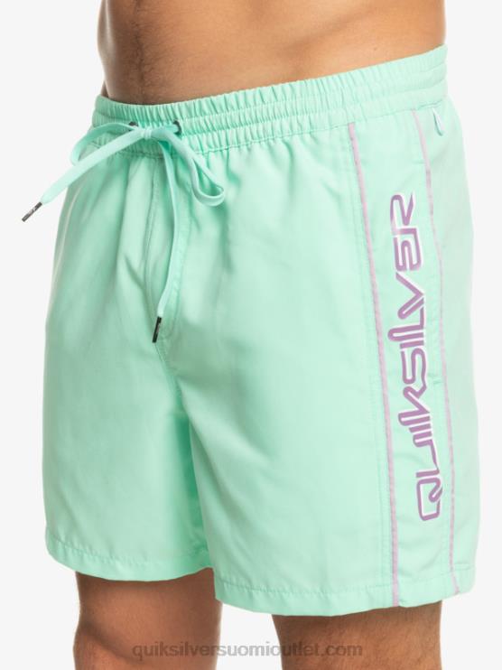 Quiksilver D6JJ702 miehet rantalasi päivittäinen vert 16 volleys