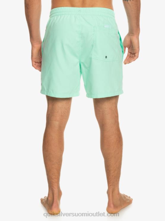Quiksilver D6JJ702 miehet rantalasi päivittäinen vert 16 volleys