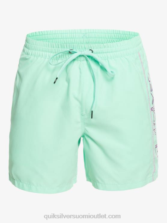 Quiksilver D6JJ702 miehet rantalasi päivittäinen vert 16 volleys