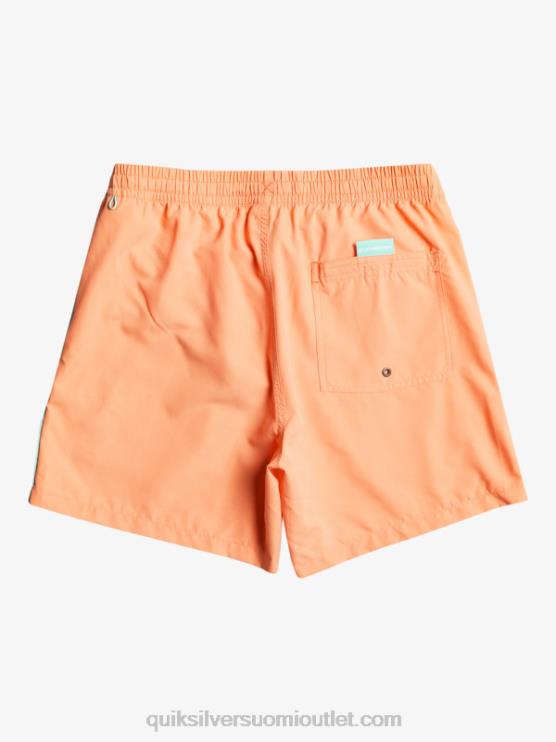 Quiksilver D6JJ703 miehet tuoretta lohta päivittäinen vert 16 volleys