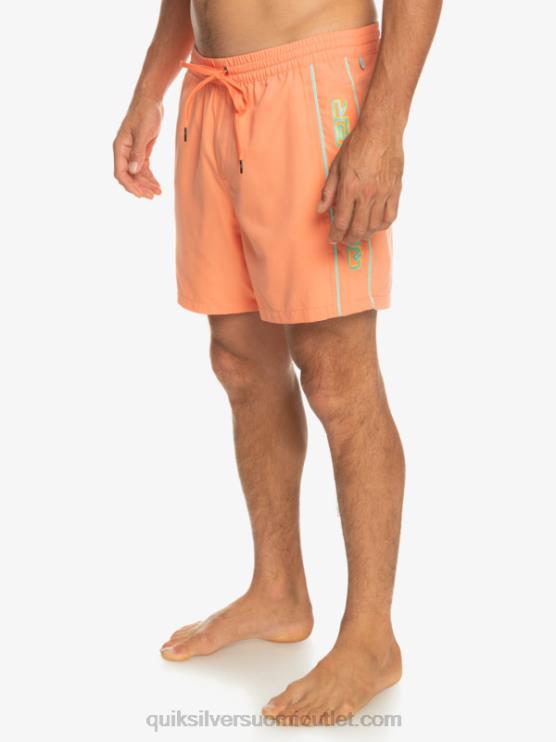 Quiksilver D6JJ703 miehet tuoretta lohta päivittäinen vert 16 volleys