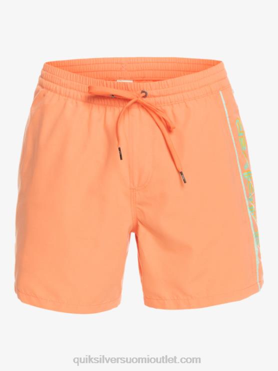 Quiksilver D6JJ703 miehet tuoretta lohta päivittäinen vert 16 volleys