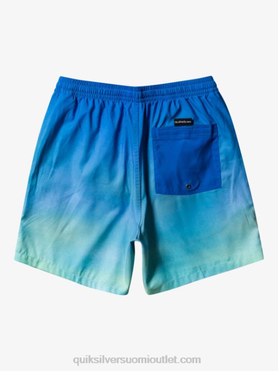 Quiksilver D6JJ722 miehet joen sininen jokapäiväinen tuuli 17 lentopalloa