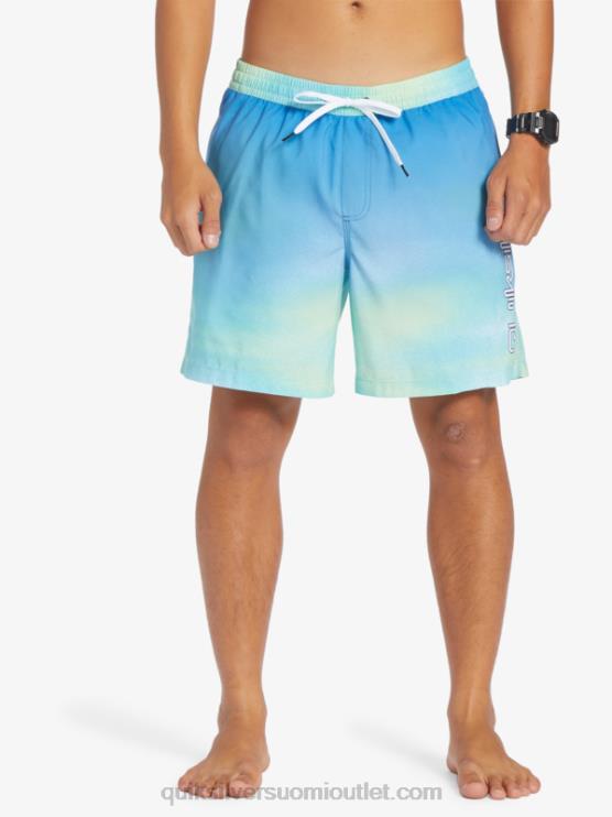Quiksilver D6JJ722 miehet joen sininen jokapäiväinen tuuli 17 lentopalloa