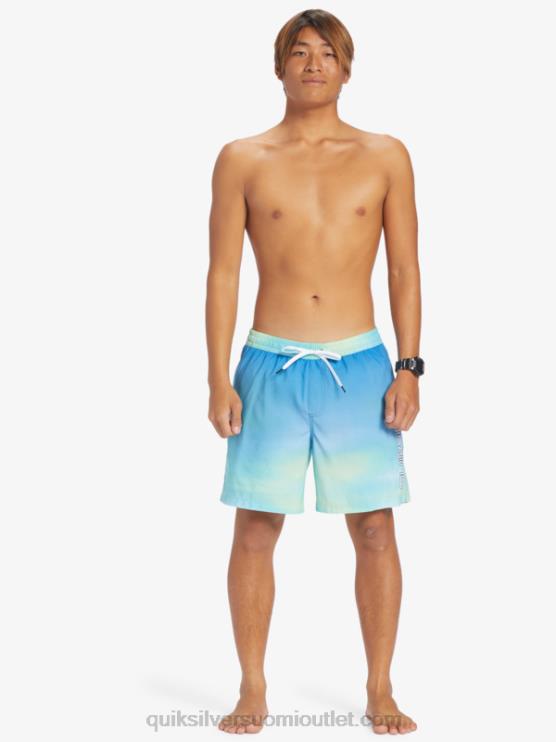 Quiksilver D6JJ722 miehet joen sininen jokapäiväinen tuuli 17 lentopalloa