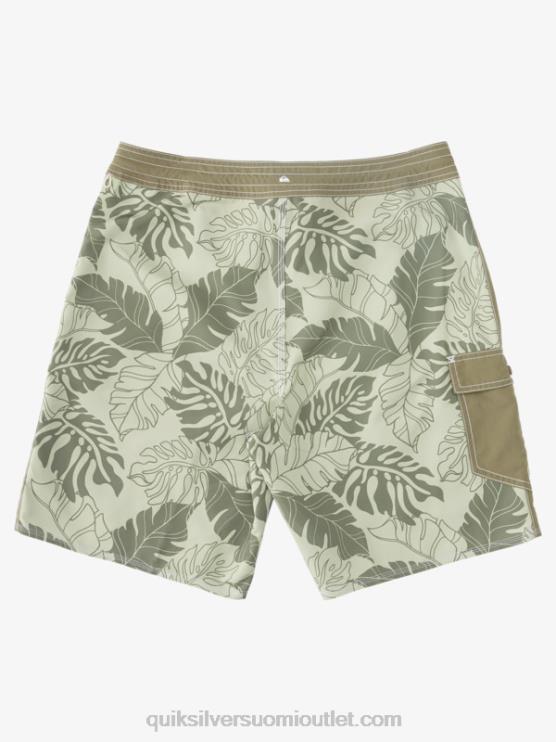 Quiksilver D6JJ850 miehet teepalautus Watermanin takaiskuprintti 2 19 boardshortsit