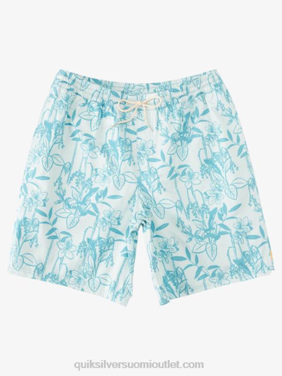 Quiksilver D6JJ939 miehet hienovarainen vihreä löysä vy vesimies löysästi 17 lentopalloa