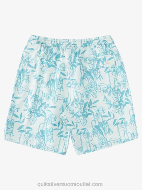 Quiksilver D6JJ939 miehet hienovarainen vihreä löysä vy vesimies löysästi 17 lentopalloa