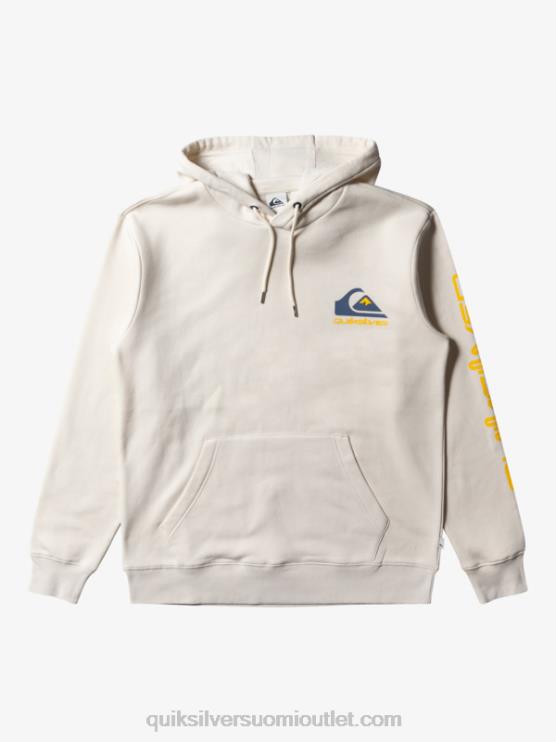 Quiksilver D6JJ642 miehet koivu omni logollinen huppari