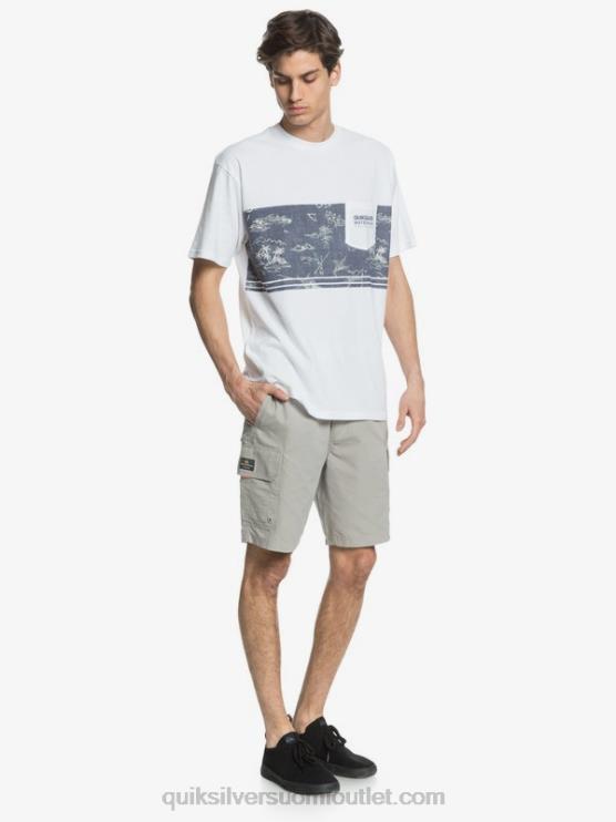 Quiksilver D6JJ1728 miehet piikin harmaa waterman maldive 20 cargo shortsit