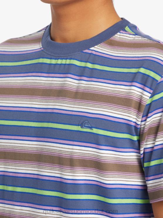 Quiksilver D6JJ632 miehet geller bering raita geller-raitainen t-paita