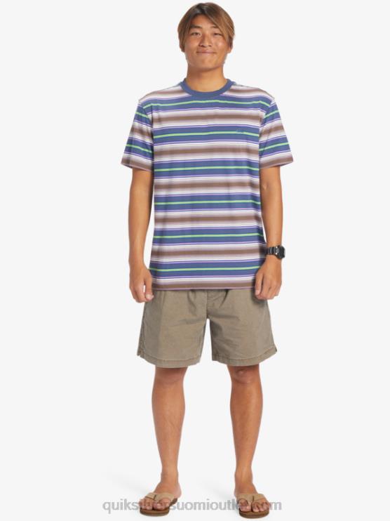 Quiksilver D6JJ632 miehet geller bering raita geller-raitainen t-paita