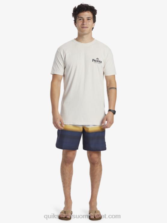 Quiksilver x Pacifico D6JJ9 miehet kivi luonnonkaunis vibes t-paita