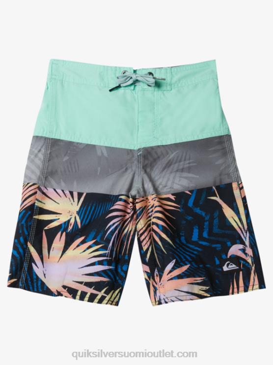 Quiksilver D6JJ1899 pojat rantalasi 2-7 päivittäistä paneelia 14 boardshortseja