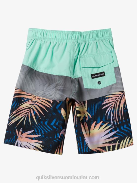Quiksilver D6JJ1899 pojat rantalasi 2-7 päivittäistä paneelia 14 boardshortseja