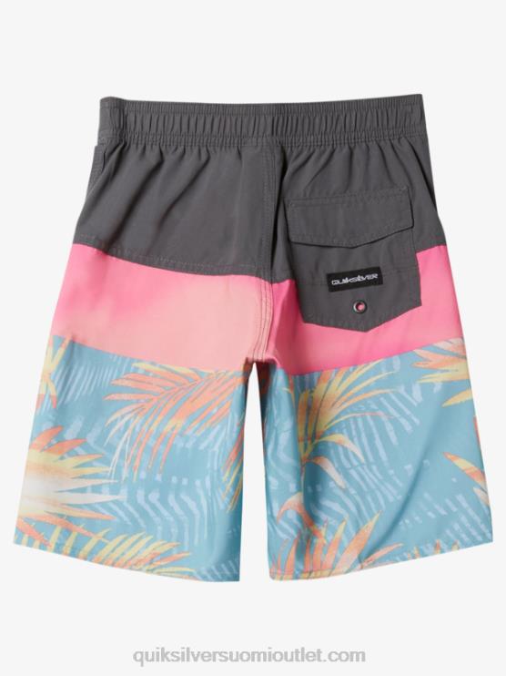 Quiksilver D6JJ1900 pojat rautaportti 2-7 päivittäistä paneelia 14 boardshortseja