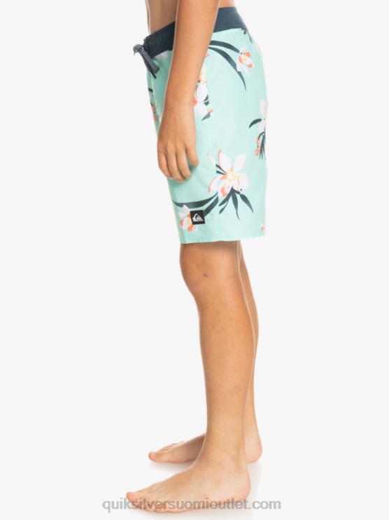 Quiksilver D6JJ2140 pojat rantalasi 8-16 arkisin qs 69 16 boardshortsit