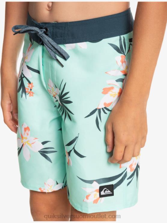 Quiksilver D6JJ2140 pojat rantalasi 8-16 arkisin qs 69 16 boardshortsit