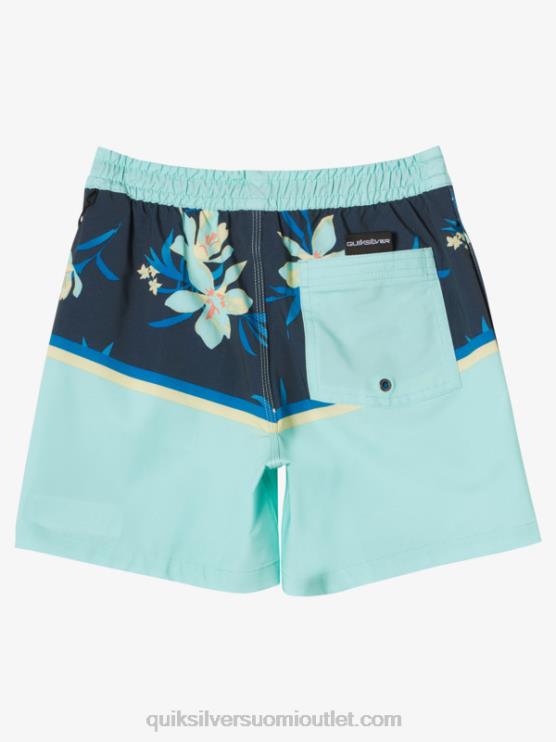Quiksilver D6JJ2141 pojat rantalasi 8-16 surfsilk divisioona vl 14 lentopalloa